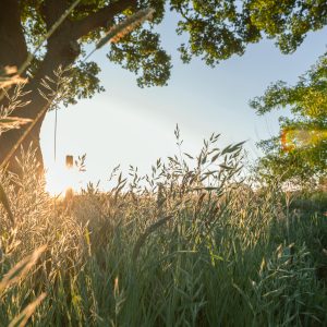Natuurlijk-genieten-40